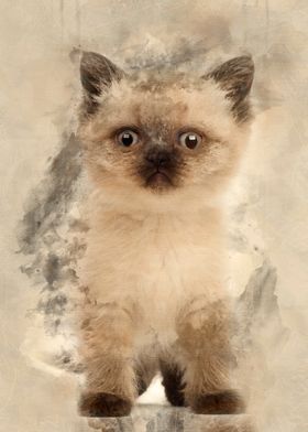 Portrait of British Shorth