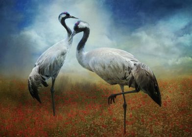 Twin Cranes