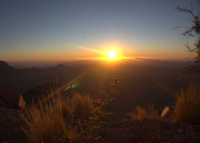 Chilean Sunset