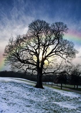 Winter Sun And Raindbow