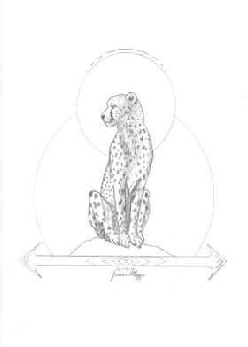 Cheetah