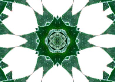 kaleidoscope modern design