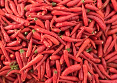 Organic Red Chilli