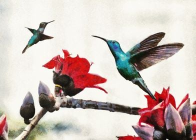 Hummingbirds