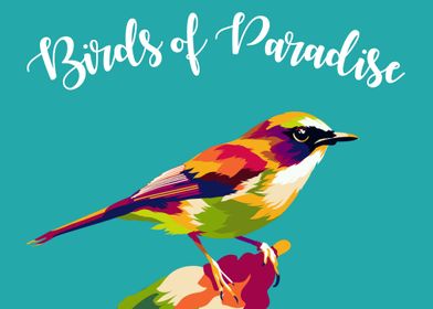 Birds of Paradise 