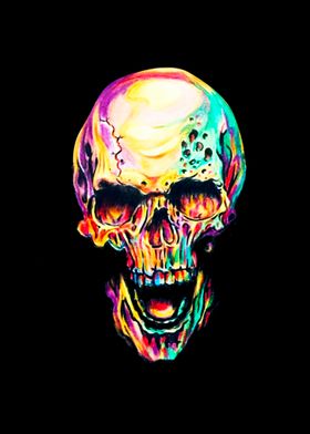 Beauty of Skull