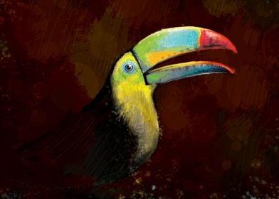 Toucan