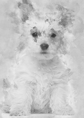 West Highland Terrier pupp