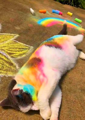 cute Cat Rainbow