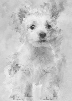 West Highland Terrier pupp