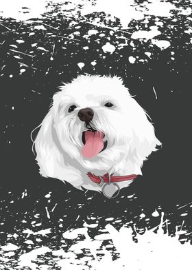 cute vector dog maltese