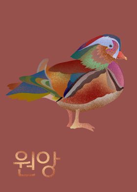 Mandarin Duck