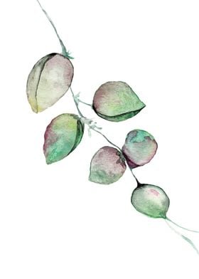 Leafy Vine Watercolour
