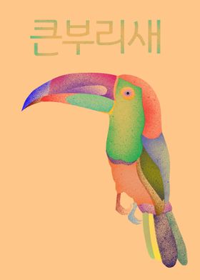 Toucan