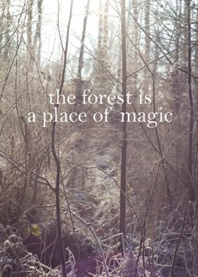place of magic