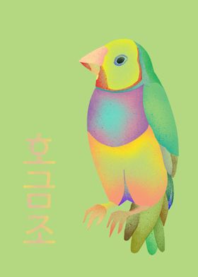 Gouldian Finch