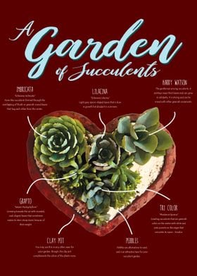 Garden of Succulents