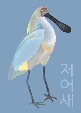 Royal Spoonbill