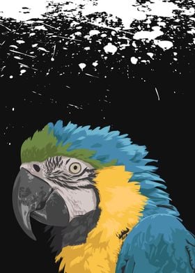 Vector Illustration parrot