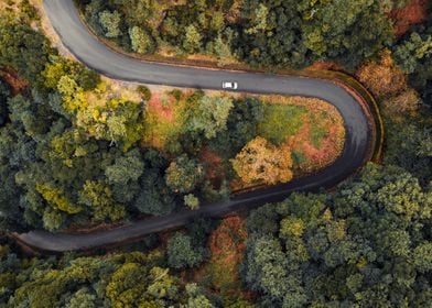 Autumn Curvy Road