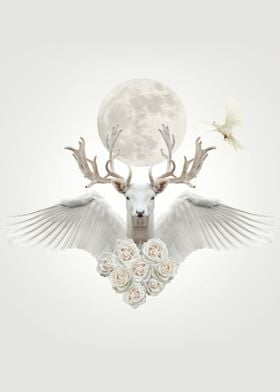 angel deer 