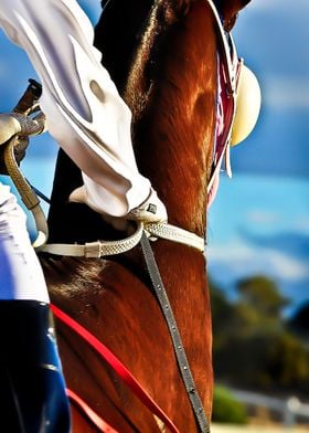 Race Horse Close up
