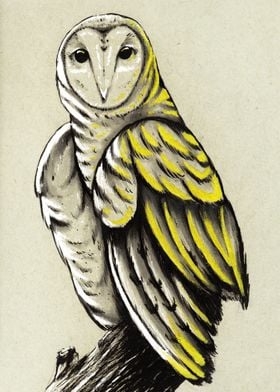 Inked Owl