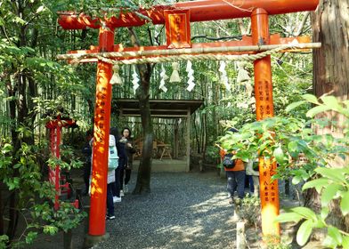 Arashiyama torii
