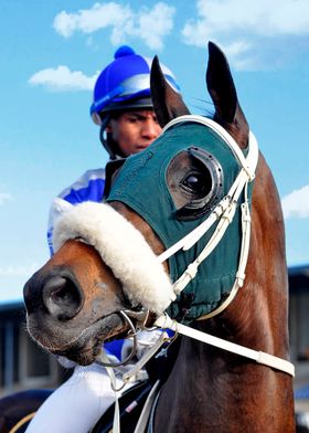 Race Horse and Jockey