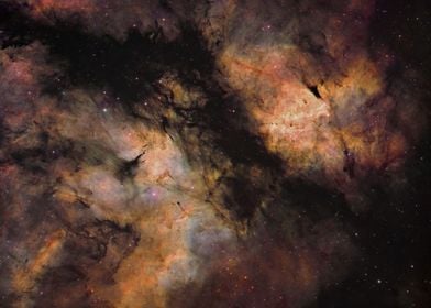 Sadr Nebula