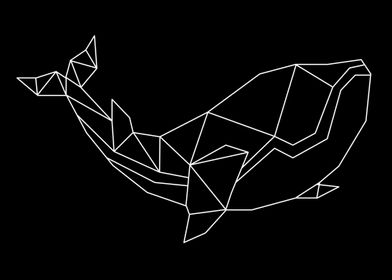 linear whale
