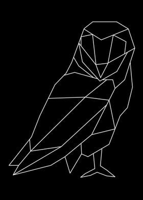 linear owl 