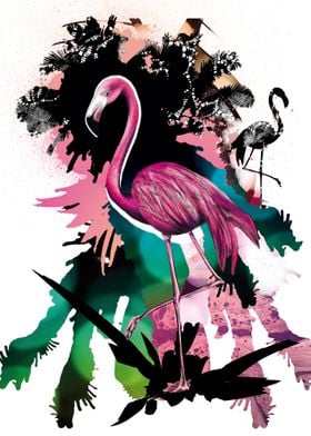  Sensual Flamingo