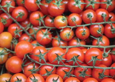 Tomatoes market