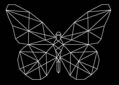 linear butterfly 