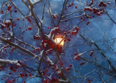 Snow covered cherries