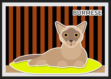 burmese