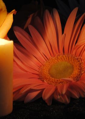 Flower With Candle