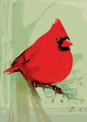 Red Cardinal