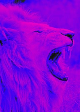 White Lion blue pink black