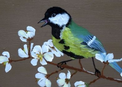 Chickadee bird