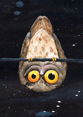 Upside down owl