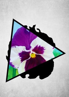 Broody Pansy Triangle