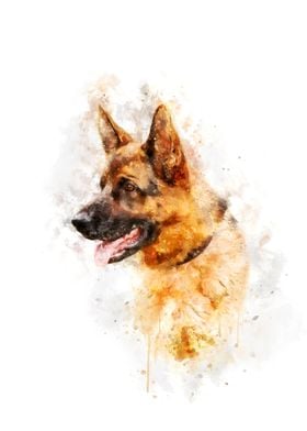 German Shepherd watercolor