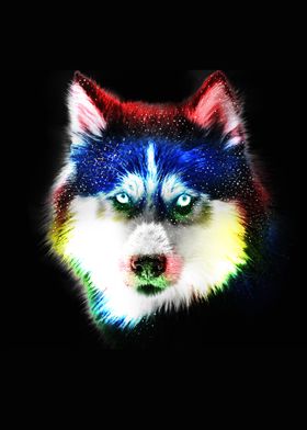 colorful wolf