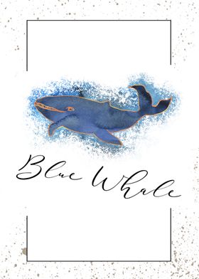 Blue Whale