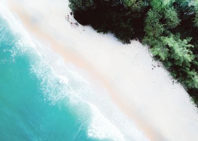 Tropical beach from above