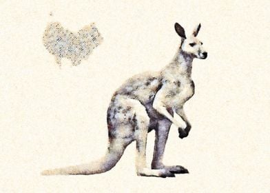 Kangaroo