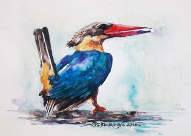 Bird Art Watercolor