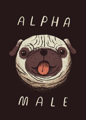 alpha pug